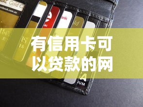 有信用卡可以贷款的网贷平台有哪些？看看这7个征信逾期能贷款的正规平台怎么样