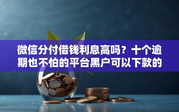 微信分付借钱利息高吗？十个逾期也不怕的平台黑户可以下款的那种