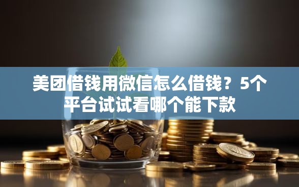 美团借钱用微信怎么借钱？5个平台试试看哪个能下款