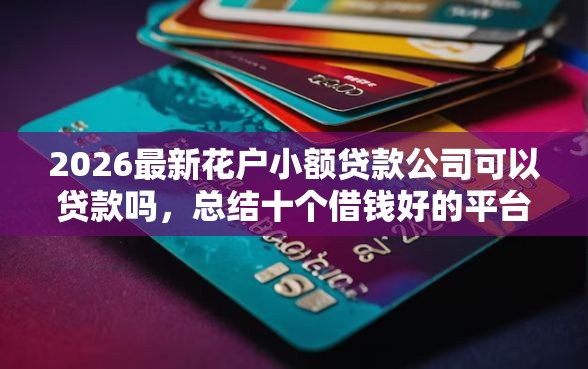 2026最新花户小额贷款公司可以贷款吗，总结十个借钱好的平台！