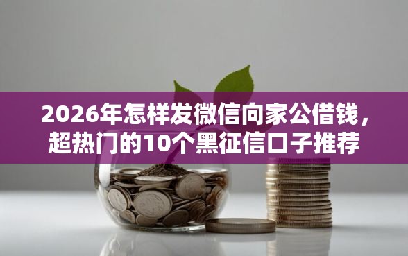 2026年怎样发微信向家公借钱，超热门的10个黑征信口子推荐