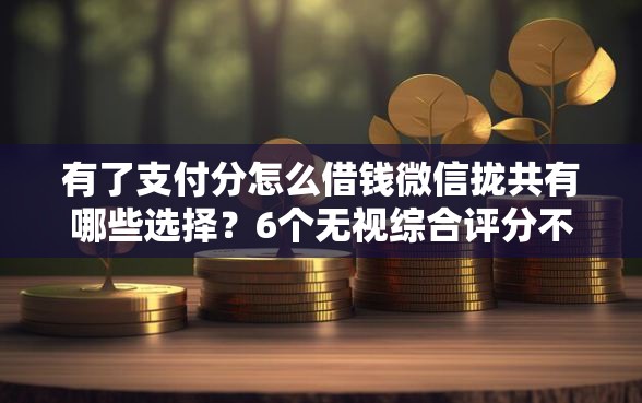 有了支付分怎么借钱微信拢共有哪些选择？6个无视综合评分不足的网贷详解