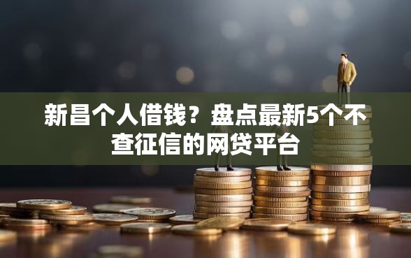 新昌个人借钱？盘点最新5个不查征信的网贷平台