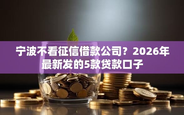 宁波不看征信借款公司？2026年最新发的5款贷款口子