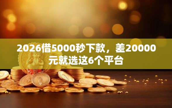 2026借5000秒下款，差20000元就选这6个平台