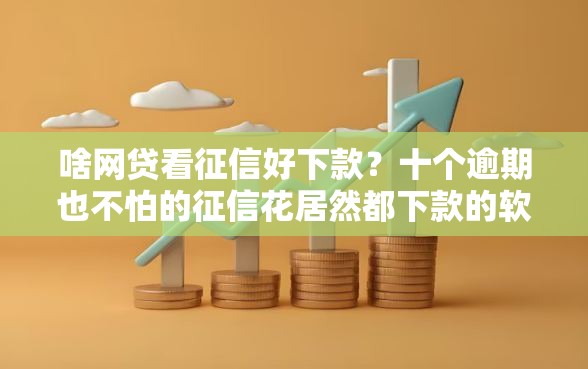 啥网贷看征信好下款？十个逾期也不怕的征信花居然都下款的软件