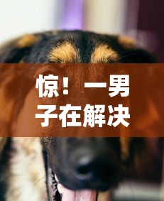 惊！一男子在解决小云豹是不是正规贷款平台呢时竟然发现9个借款平台适合黑户下款，事后分享了出来