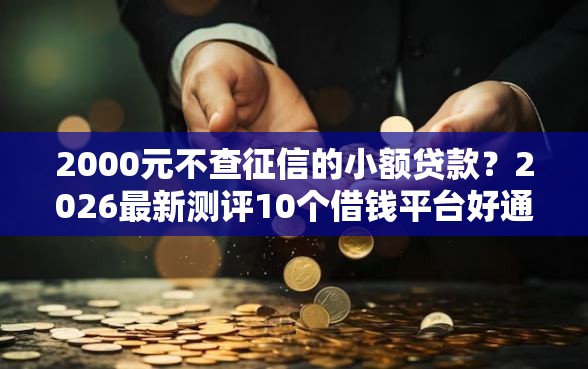 2000元不查征信的小额贷款?2026最新测评10个借钱平台好通过 2000元不查征信的小额贷款?2026最新测评10个借钱平台好通过