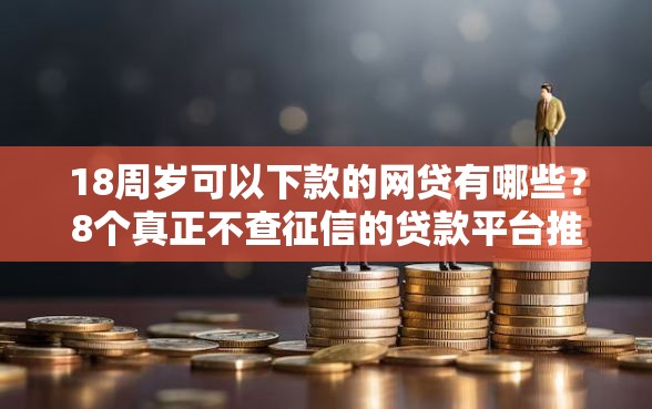 18周岁可以下款的网贷有哪些？8个真正不查征信的贷款平台推荐给你