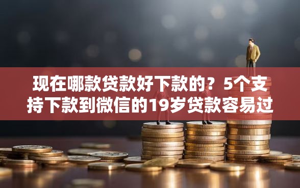 现在哪款贷款好下款的？5个支持下款到微信的19岁贷款容易过审批的口子