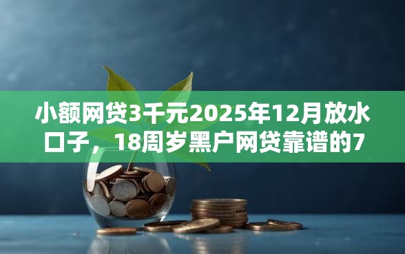 小额网贷3千元2025年12月放水口子，18周岁黑户网贷靠谱的7个平台介绍