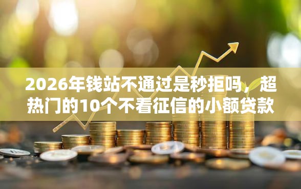 2026年钱站不通过是秒拒吗，超热门的10个不看征信的小额贷款平台推荐