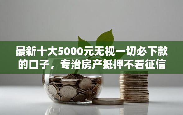 最新十大5000元无视一切必下款的口子，专治房产抵押不看征信的贷款