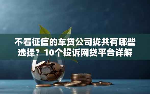 不看征信的车贷公司拢共有哪些选择？10个投诉网贷平台详解