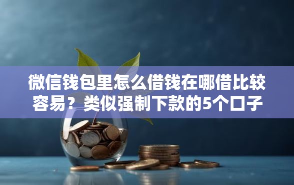 微信钱包里怎么借钱在哪借比较容易？类似强制下款的5个口子参考