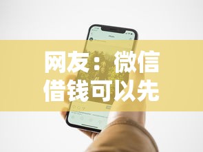 网友：微信借钱可以先息后本吗？求介绍几款黑名单能贷款的平台