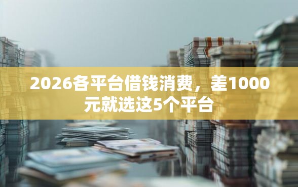 2026各平台借钱消费，差1000元就选这5个平台