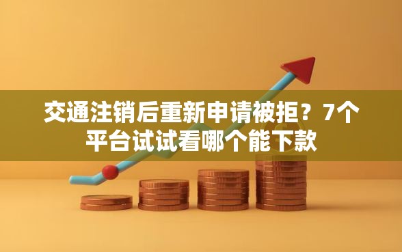 交通注销后重新申请被拒？7个平台试试看哪个能下款