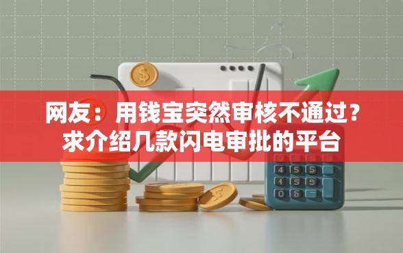 网友：用钱宝突然审核不通过？求介绍几款闪电审批的平台