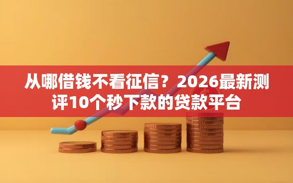 从哪借钱不看征信？2026最新测评10个秒下款的贷款平台