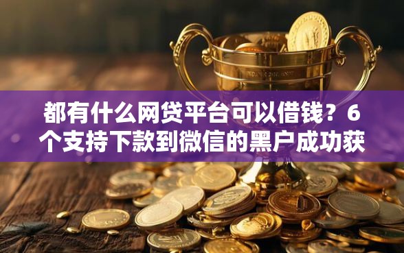 都有什么网贷平台可以借钱？6个支持下款到微信的黑户成功获取大额贷款的软件