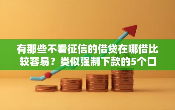 有那些不看征信的借贷在哪借比较容易？类似强制下款的5个口子参考