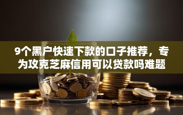 9个黑户快速下款的口子推荐，专为攻克芝麻信用可以贷款吗难题