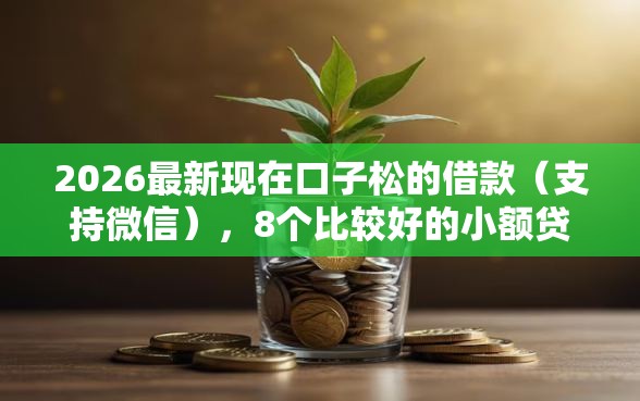 2026最新现在口子松的借款（支持微信），8个比较好的小额贷款口子无私分享