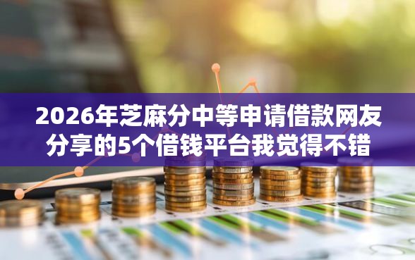 2026年芝麻分中等申请借款网友分享的5个借钱平台我觉得不错！