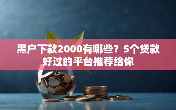 黑户下款2000有哪些？5个贷款好过的平台推荐给你