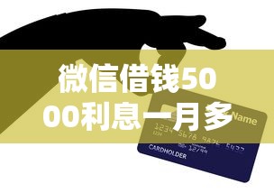微信借钱5000利息一月多少钱？网友亲测6个黑户也能借钱的平台盘点