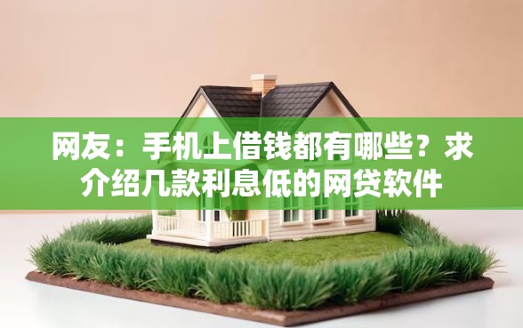 网友:手机上借钱都有哪些?求介绍几款利息低的网贷软件 网友:手机上借钱都有哪些?求介绍几款利息低的网贷软件