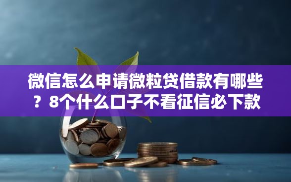 微信怎么申请微粒贷借款有哪些？8个什么口子不看征信必下款推荐给你