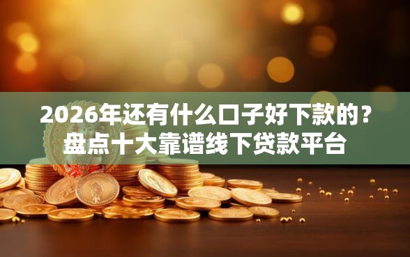 2026年还有什么口子好下款的？盘点十大靠谱线下贷款平台