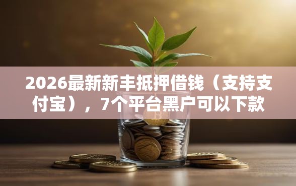 2026最新新丰抵押借钱（支持支付宝），7个平台黑户可以下款的那种无私分享