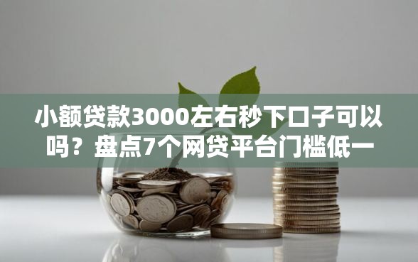 小额贷款3000左右秒下口子可以吗？盘点7个网贷平台门槛低一点的软件给你参考