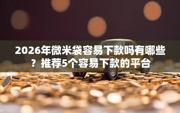2026年微米袋容易下款吗有哪些？推荐5个容易下款的平台