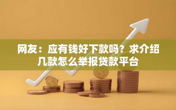 网友：应有钱好下款吗？求介绍几款怎么举报贷款平台