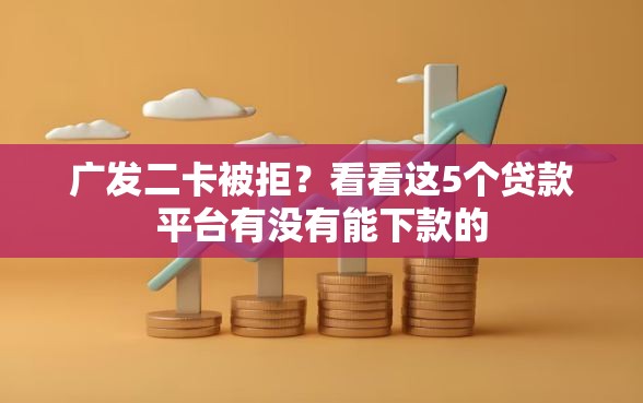 广发二卡被拒？看看这5个贷款平台有没有能下款的