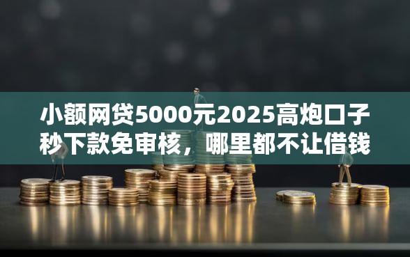 小额网贷5000元2025高炮口子秒下款免审核，哪里都不让借钱怎么办的5个平台介绍