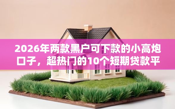 2026年两款黑户可下款的小高炮口子，超热门的10个短期贷款平台推荐