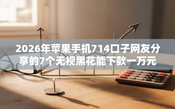 2026年苹果手机714口子网友分享的7个无视黑花能下款一万元口子我觉得不错！