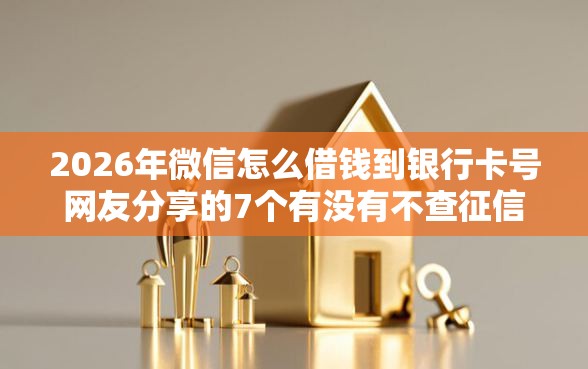 2026年微信怎么借钱到银行卡号网友分享的7个有没有不查征信的贷款平台我觉得不错！