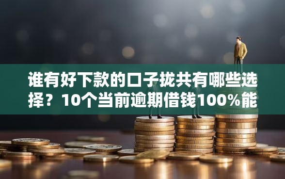 谁有好下款的口子拢共有哪些选择？10个当前逾期借钱100%能借到平台详解