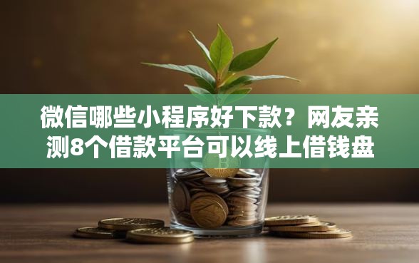 微信哪些小程序好下款？网友亲测8个借款平台可以线上借钱盘点