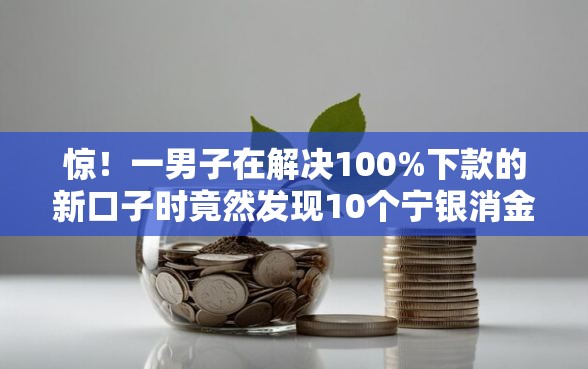 惊!一男子在解决100%下款的新口子时竟然发现10个宁银消金是什么贷款平台,事后分享了出来 惊!一男子在解决100%下款的新口子时竟然发现10个宁银消金是什么贷款平台,事后分享了出来