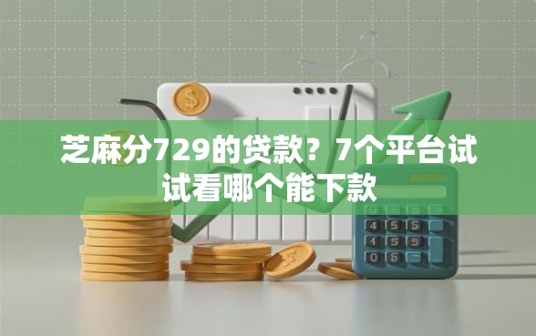 芝麻分729的贷款？7个平台试试看哪个能下款