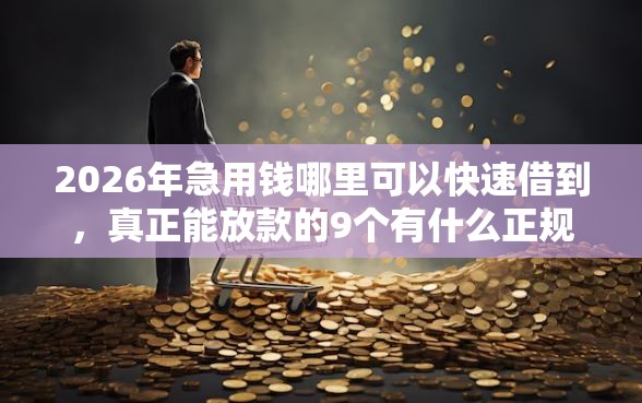 2026年急用钱哪里可以快速借到,真正能放款的9个有什么正规的贷款平台推荐 2026年急用钱哪里可以快速借到,真正能放款的9个有什么正规的贷款平台推荐