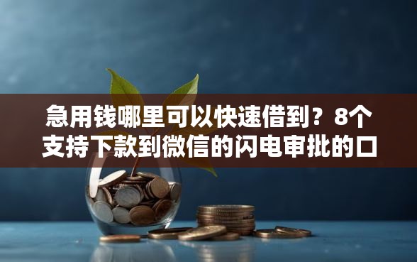 急用钱哪里可以快速借到？8个支持下款到微信的闪电审批的口子