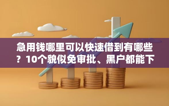 急用钱哪里可以快速借到有哪些？10个貌似免审批、黑户都能下款的平台合集